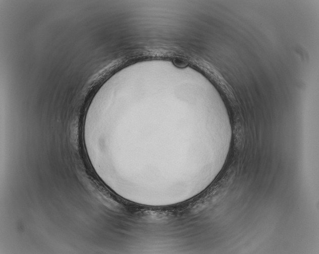 X0000110320442200906111456