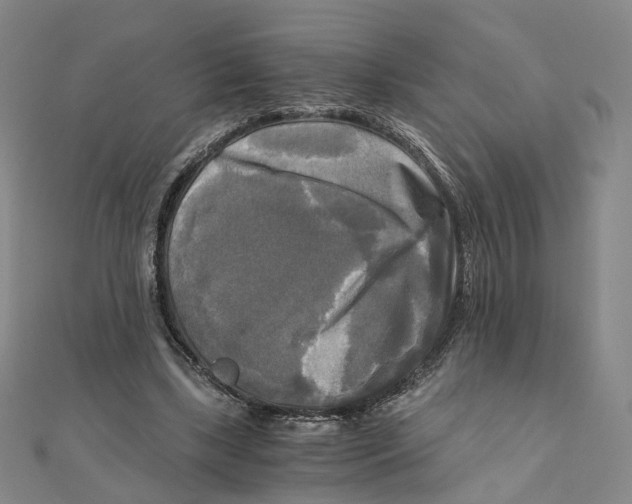 X0000110320443200906111456