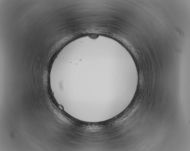 X0000110320445200906111456