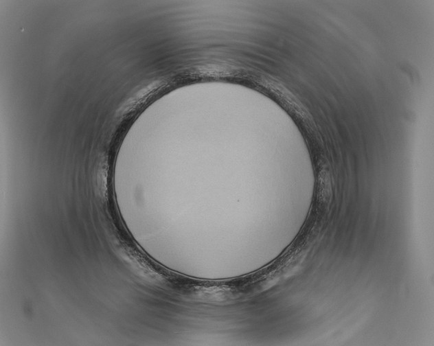 X0000110320446200906111456