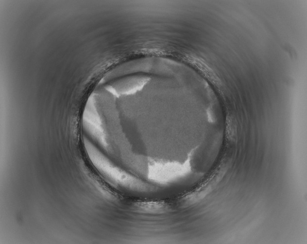 X0000110320449200906111456