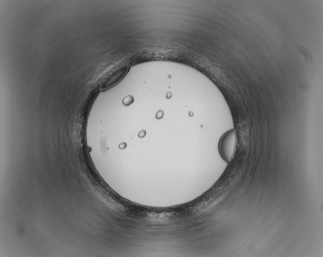 X0000110320450200906111456