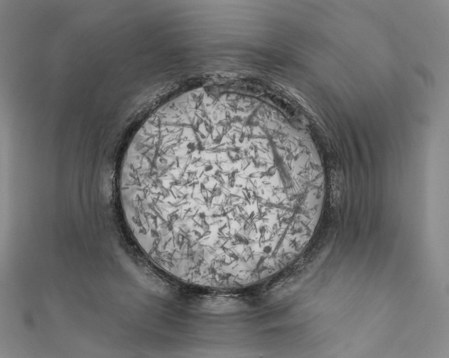 X0000110320451200906111456