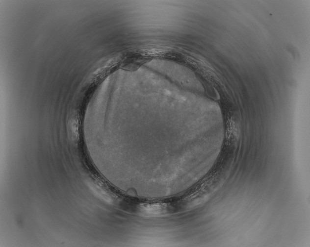 X0000110320452200906111456