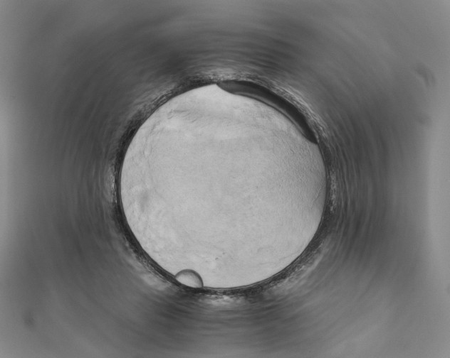 X0000110320453200906111456