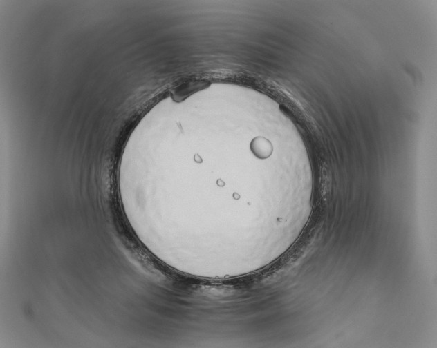 X0000110320455200906111456