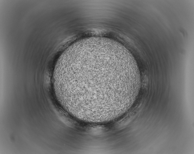 X0000110320456200906111456