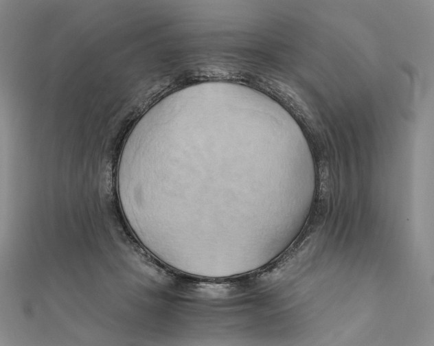 X0000110320457200906111456