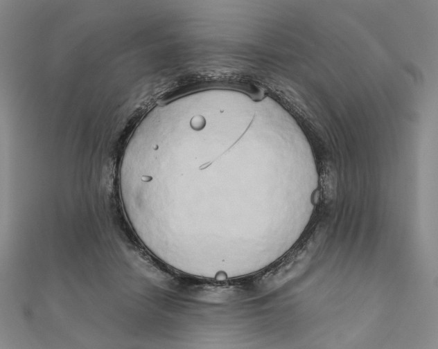 X0000110320458200906111456