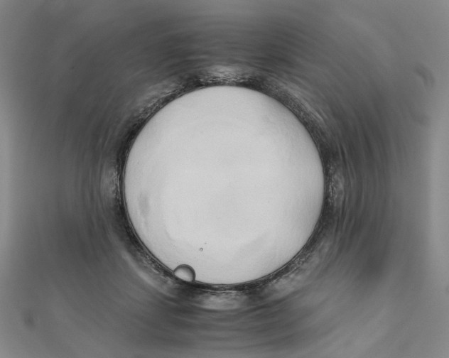 X0000110320459200906111456