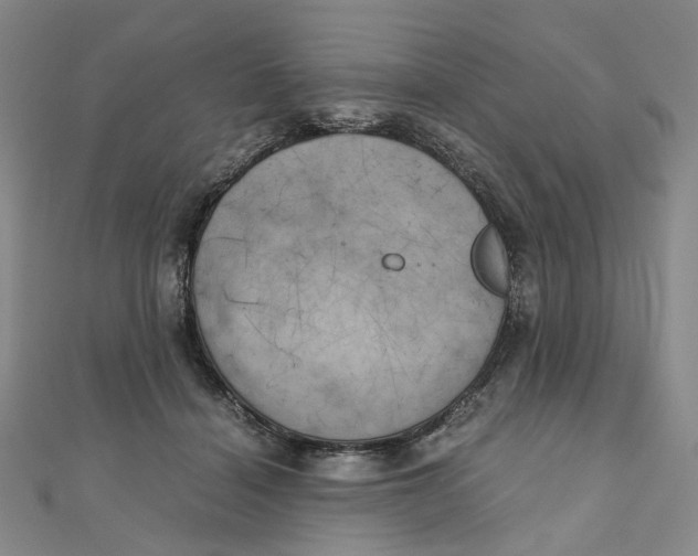 X0000110320460200906111456