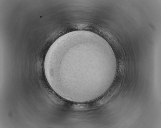 X0000110320461200906111456