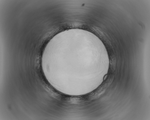 X0000110320462200906111456