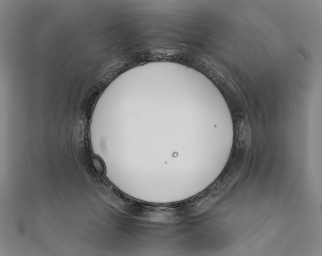 X0000110320463200906111456