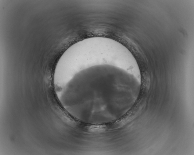 X0000110320465200906111456