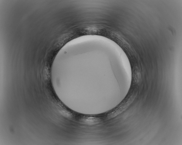 X0000110320467200906111456