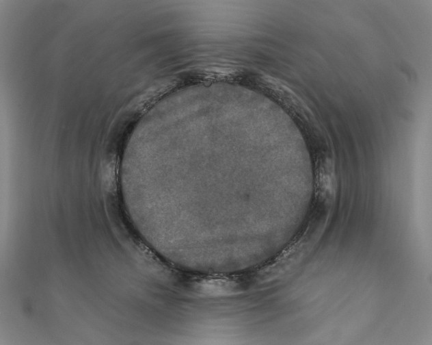 X0000110320468200906111456