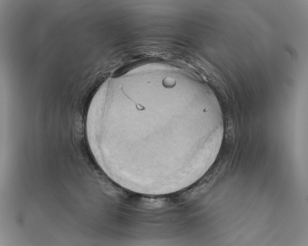 X0000110320469200906111456