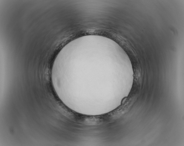 X0000110320470200906111456