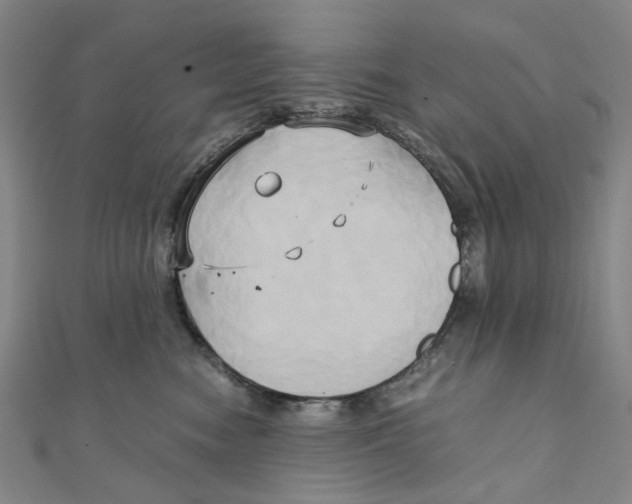 X0000110320474200906111456