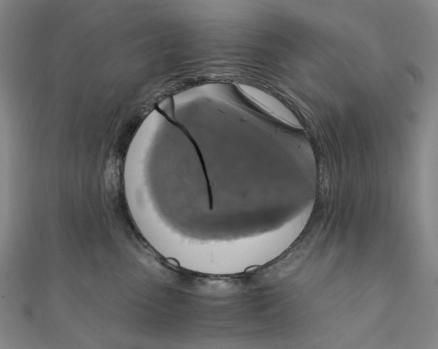 X0000110320475200906111456