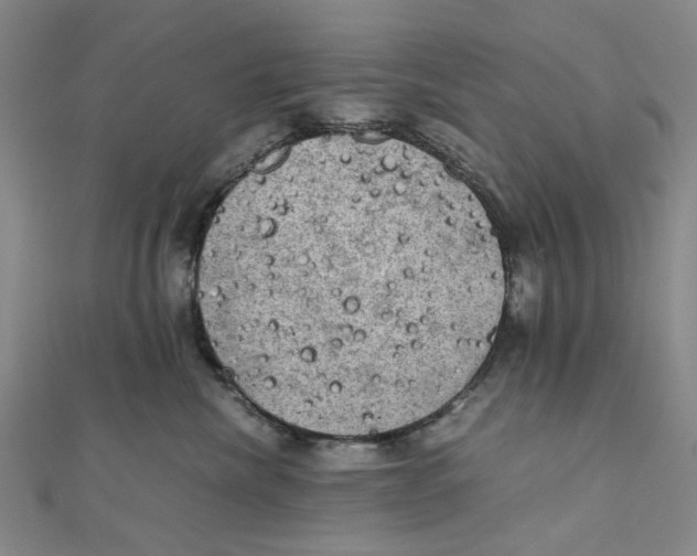 X0000110320476200906111456