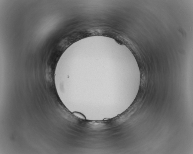 X0000110320477200906111456