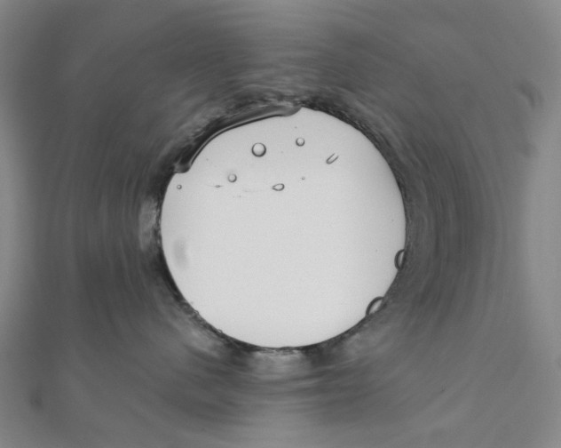 X0000110320480200906111456