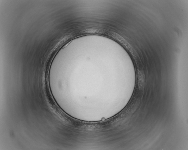 X0000110320482200906111456