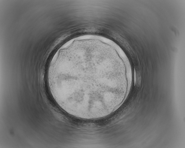 X0000110320483200906111456