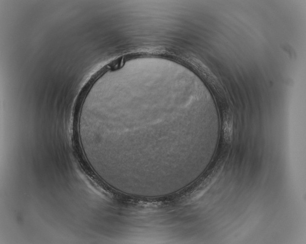 X0000110320484200906111456