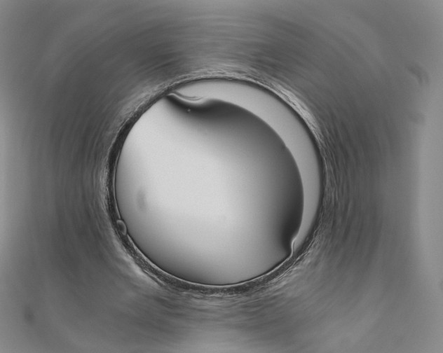 X0000110320485200906111456