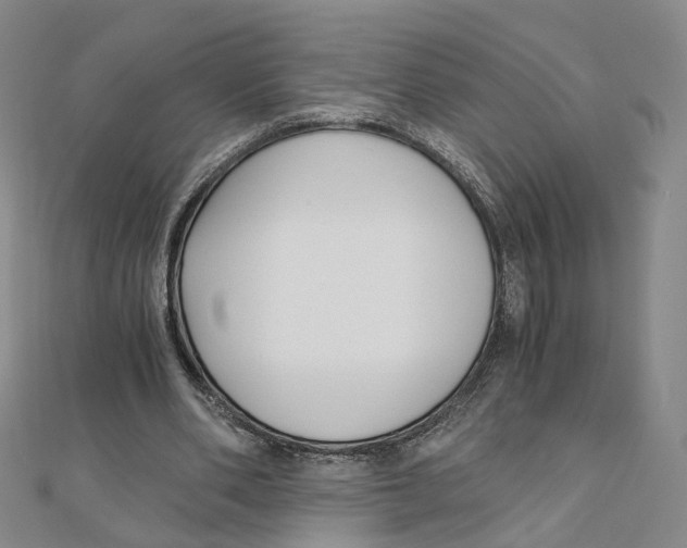 X0000110320486200906111456