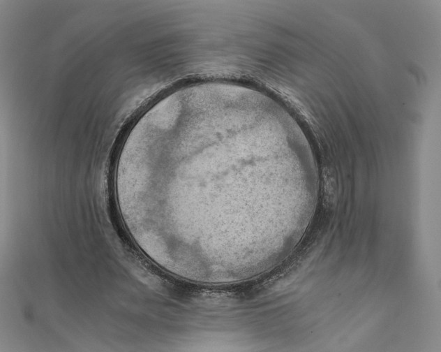 X0000110320487200906111456