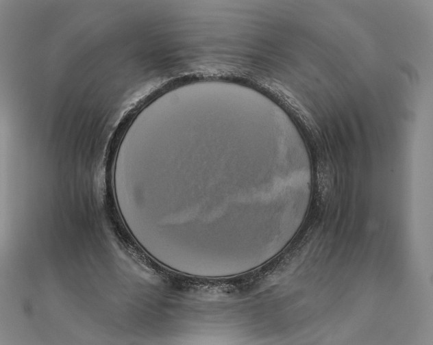 X0000110320488200906111456