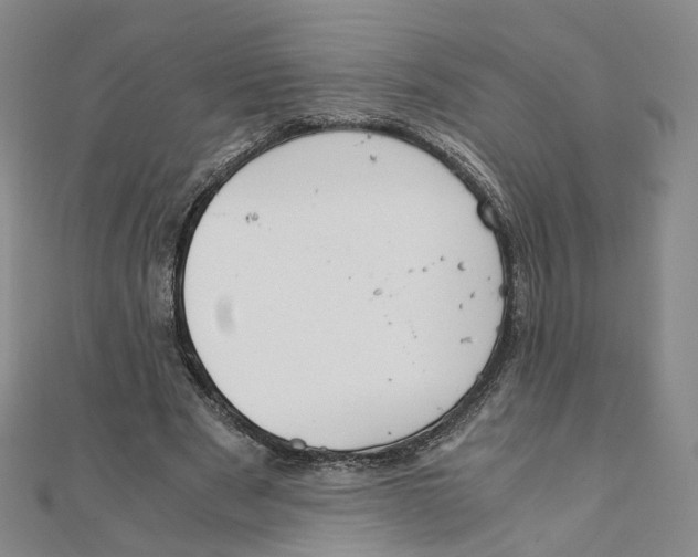 X0000110320489200906111456