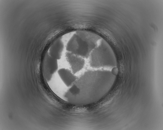 X0000110320491200906111456