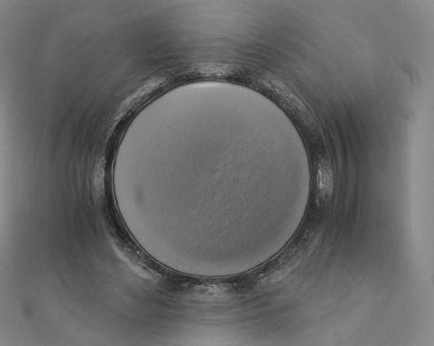 X0000110320492200906111456