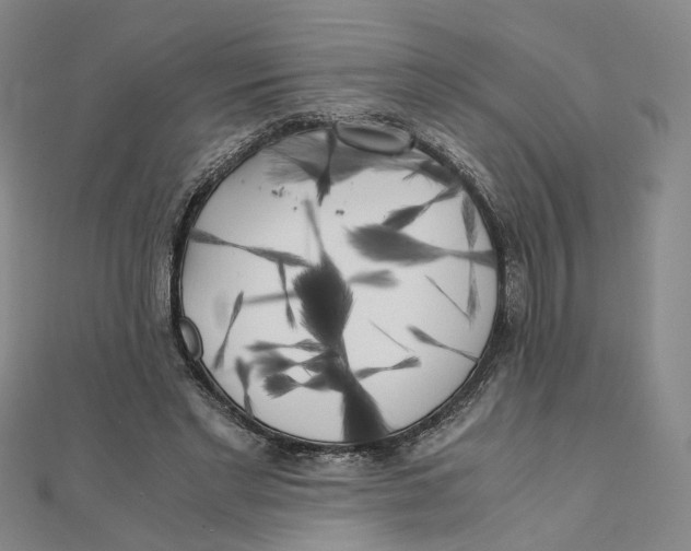 X0000110320493200906111456