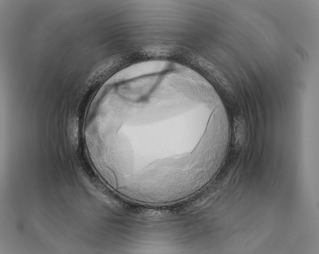 X0000110320494200906111456