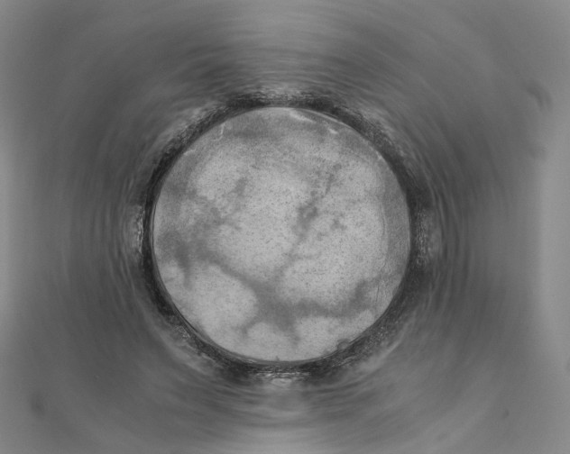 X0000110320495200906111455