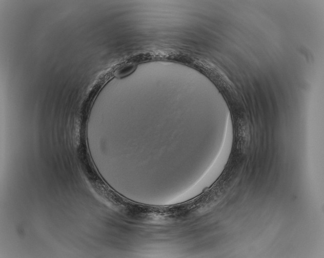 X0000110320496200906111455