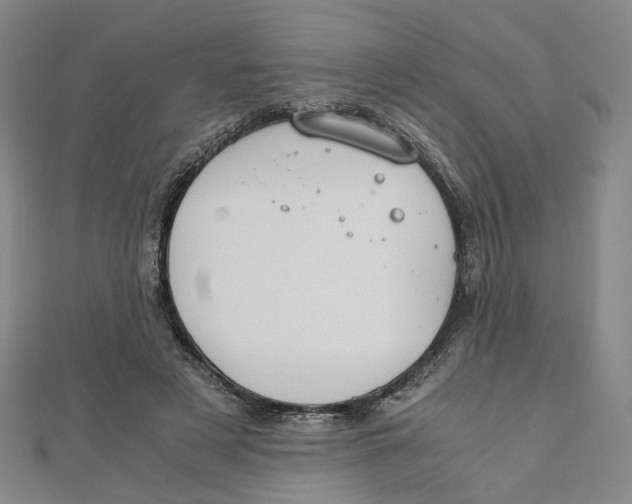 X0000110320497200906111455