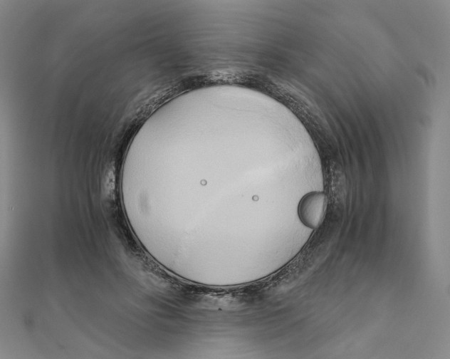 X0000110320502200906111455