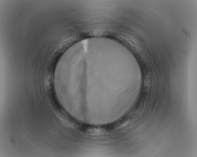 X0000110320503200906111455