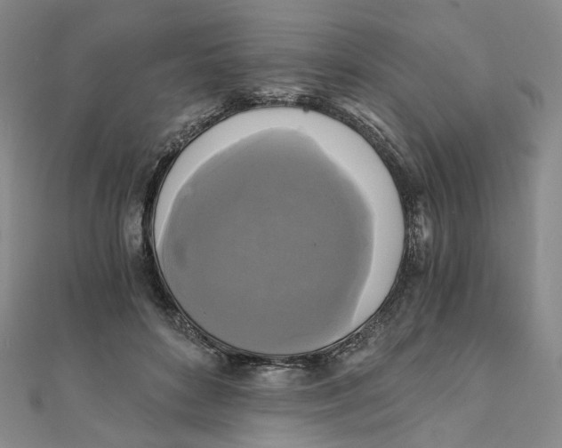 X0000110320504200906111455