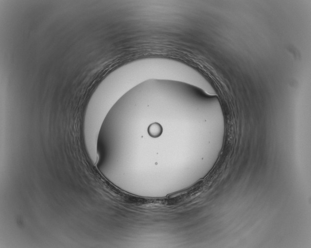 X0000110320505200906111455