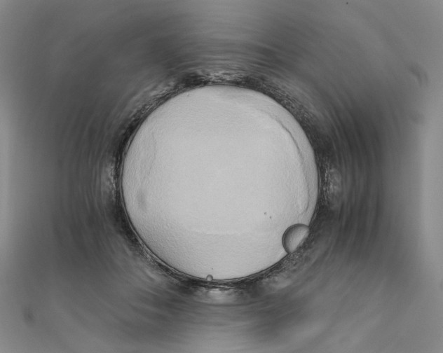 X0000110320506200906111455