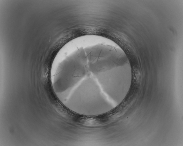 X0000110320507200906111455