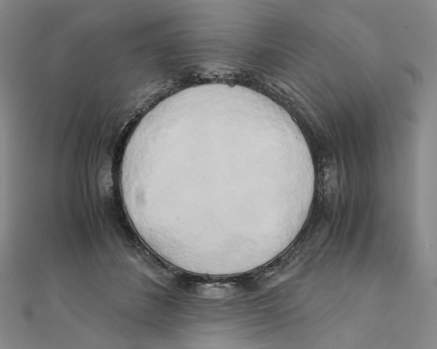 X0000110320508200906111455